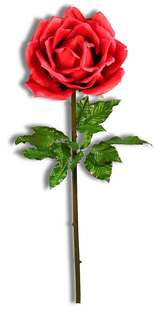 RED ROSE WITH STEM 