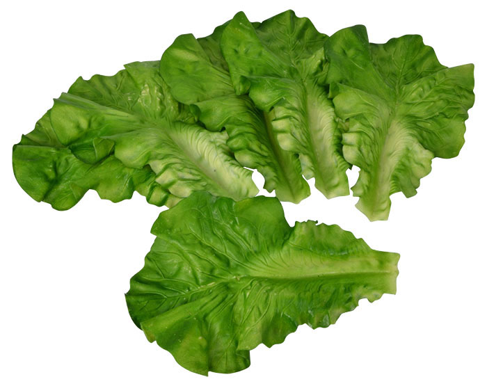 Fake Lettuce Leaves Pk6 Vegetables Salad