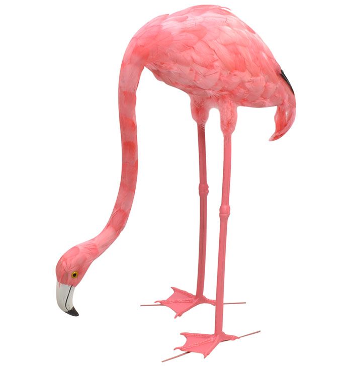 Flamingo - Head Down 69cm 