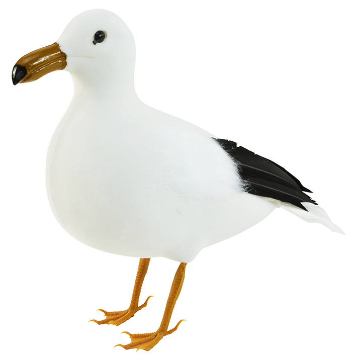 Seagull - 22cm 