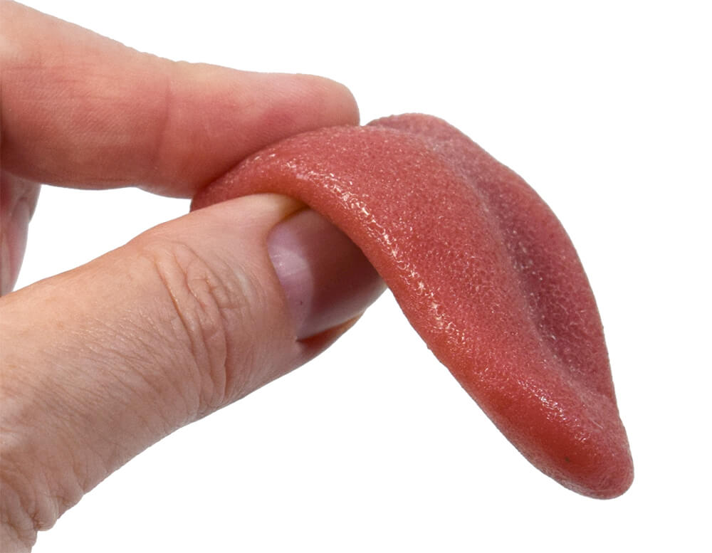 Stretchy Severed Tongue 