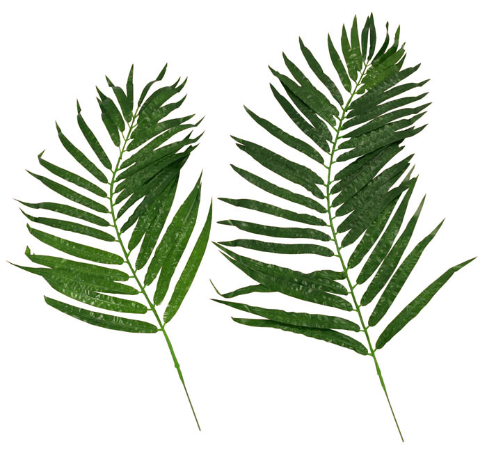 Artificial Palm Tree Branch 80cm Pk12 Palm Trees Accessories