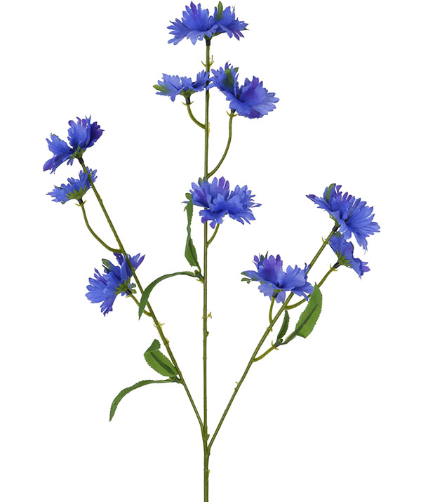 Blue Cornflower Stem Flowers