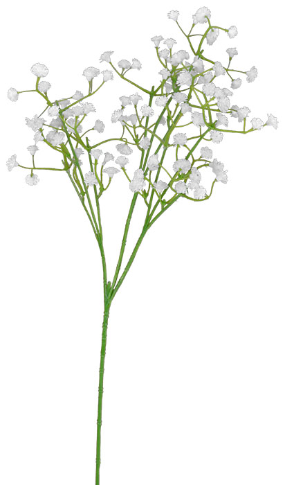 White Gypsophila Flower Stem 54cm - Flowers