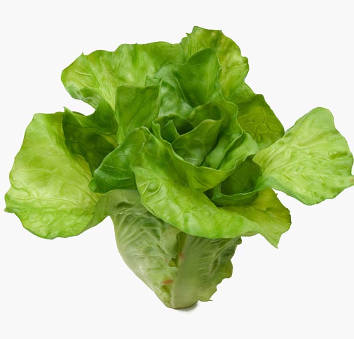 Lettuce Vegetables Salad