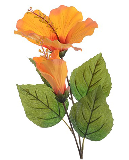 Large Orange Hibiscus Flower Stem 