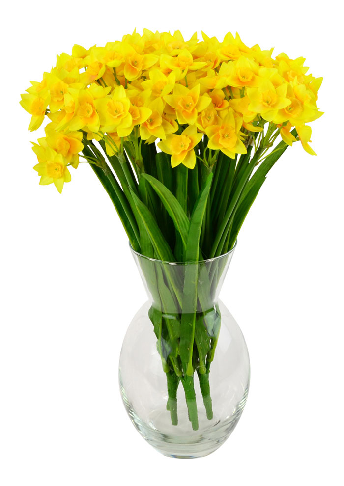 Narcissus Daffodil Bunch 44cm - Flowers