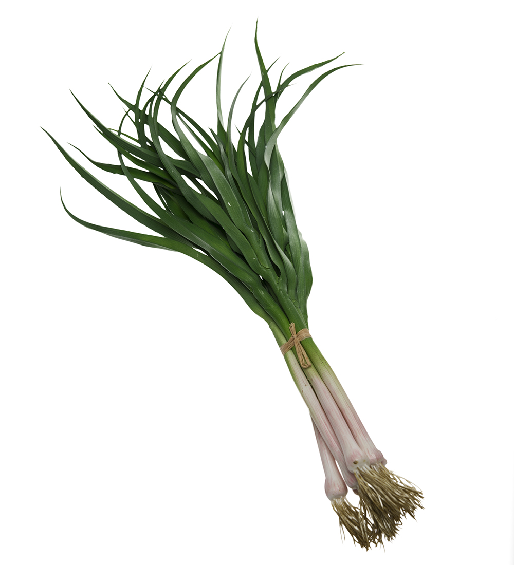 Spring Onion Bunch 