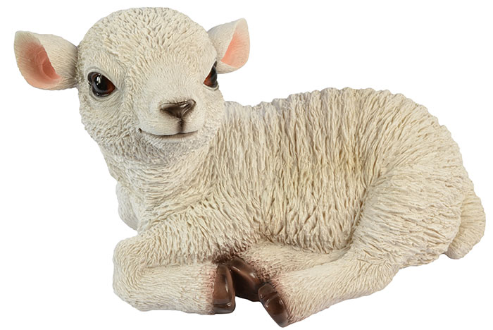 Sitting White Lamb - Animals