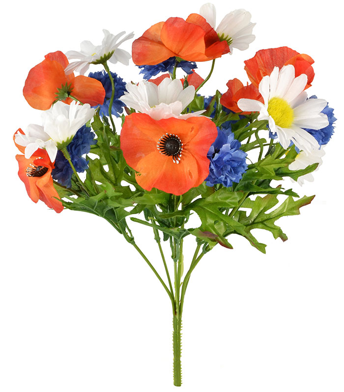 Red Poppy, White Daisy and Blue Corn 