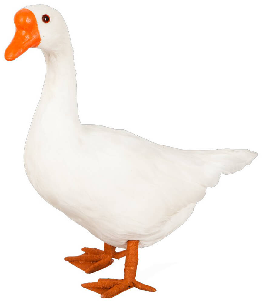 White Goose with Head Up 