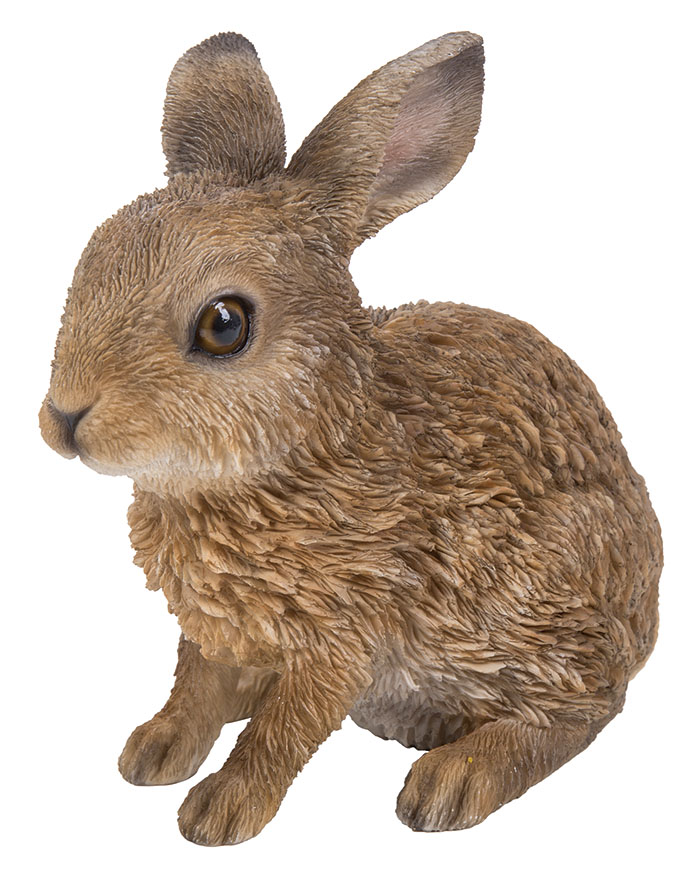 Baby Hare - Leveret 