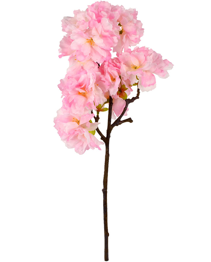 Pink Cherry Blossom Branch 