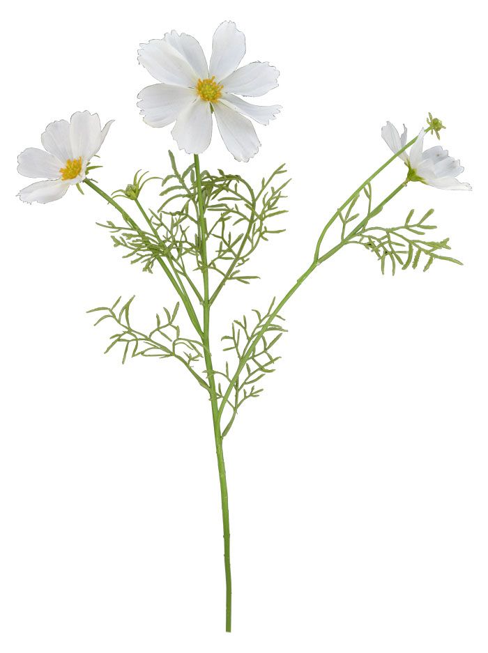 White Cosmos Flower Stem 48cm - Flowers