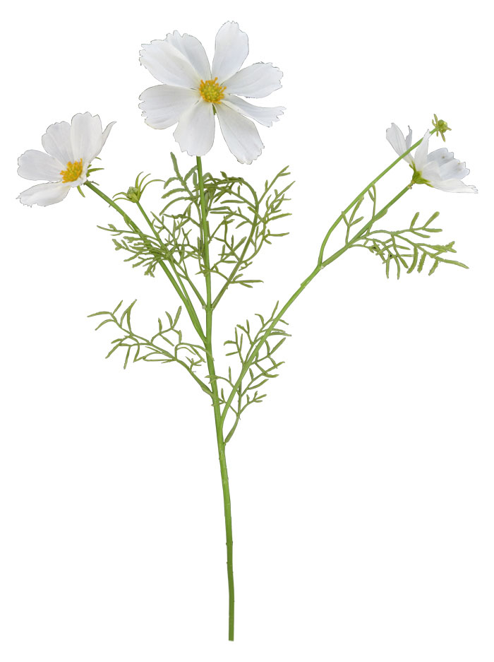 White Cosmos Flower Stem 48cm Flowers