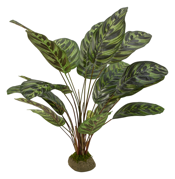 Artificial Calathea Plant on Base Artificial Plants