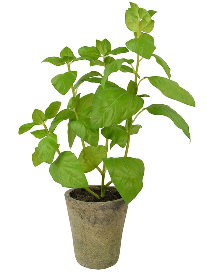 Artificial Basil Plant in Pot Vegetables Salad