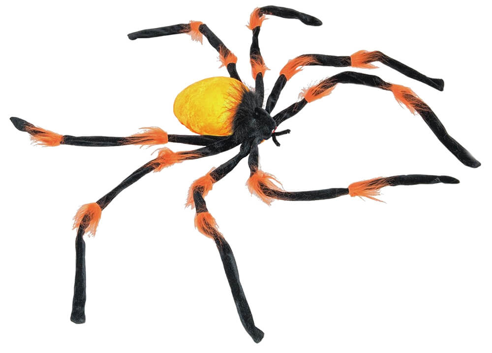 Giant Black Orange Spider Spiders s