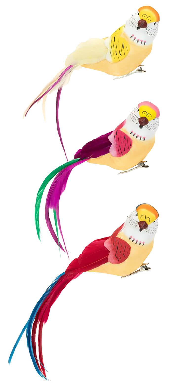 Exotic Birds with Clip, Set of 3 