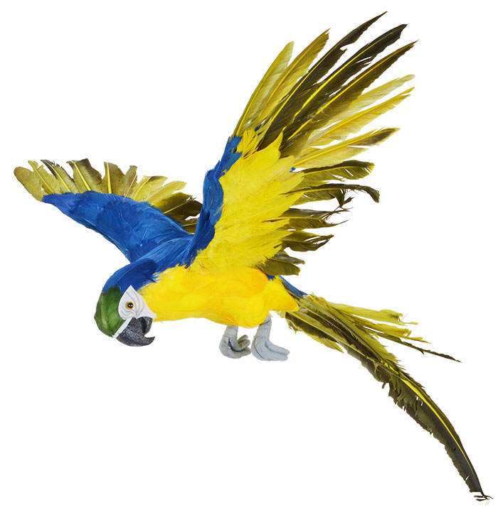 Large Blue And Yellow Flying Parrot 