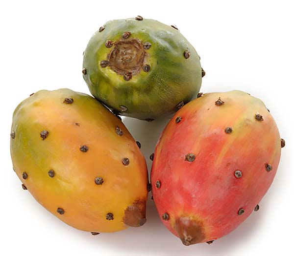Prickly Pear Cactus Fruit 3 Assorted 1 Supplied Fruit