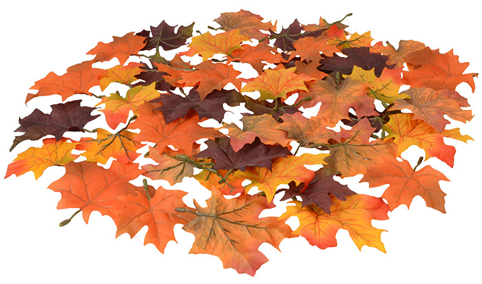 Autumn Maple Leaves - Pk.48 