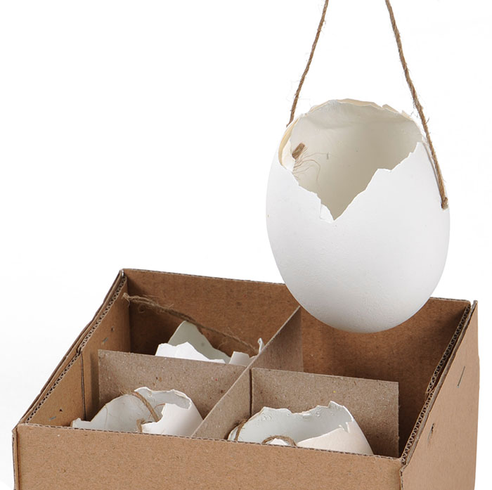 Open Goose Eggs 5 x 7cm Pk4 Birds Eggs