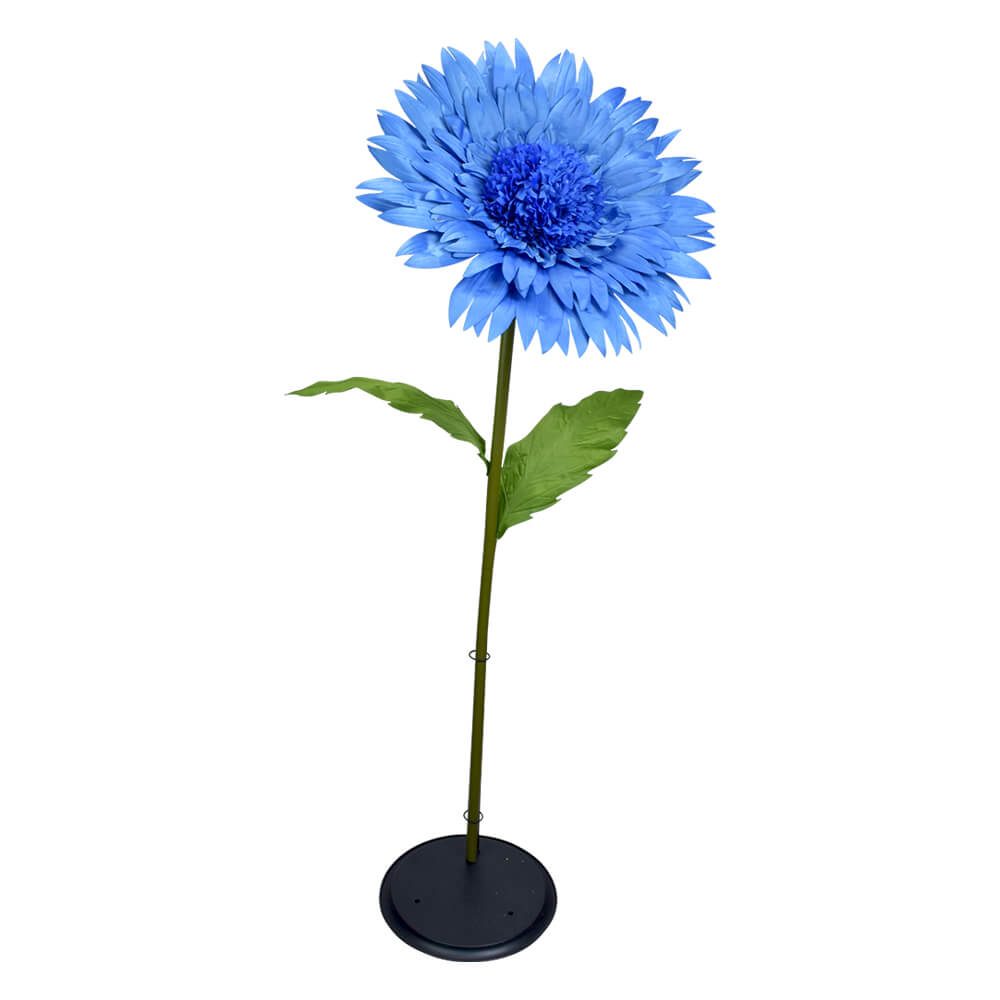 Giant Blue Cornflower 