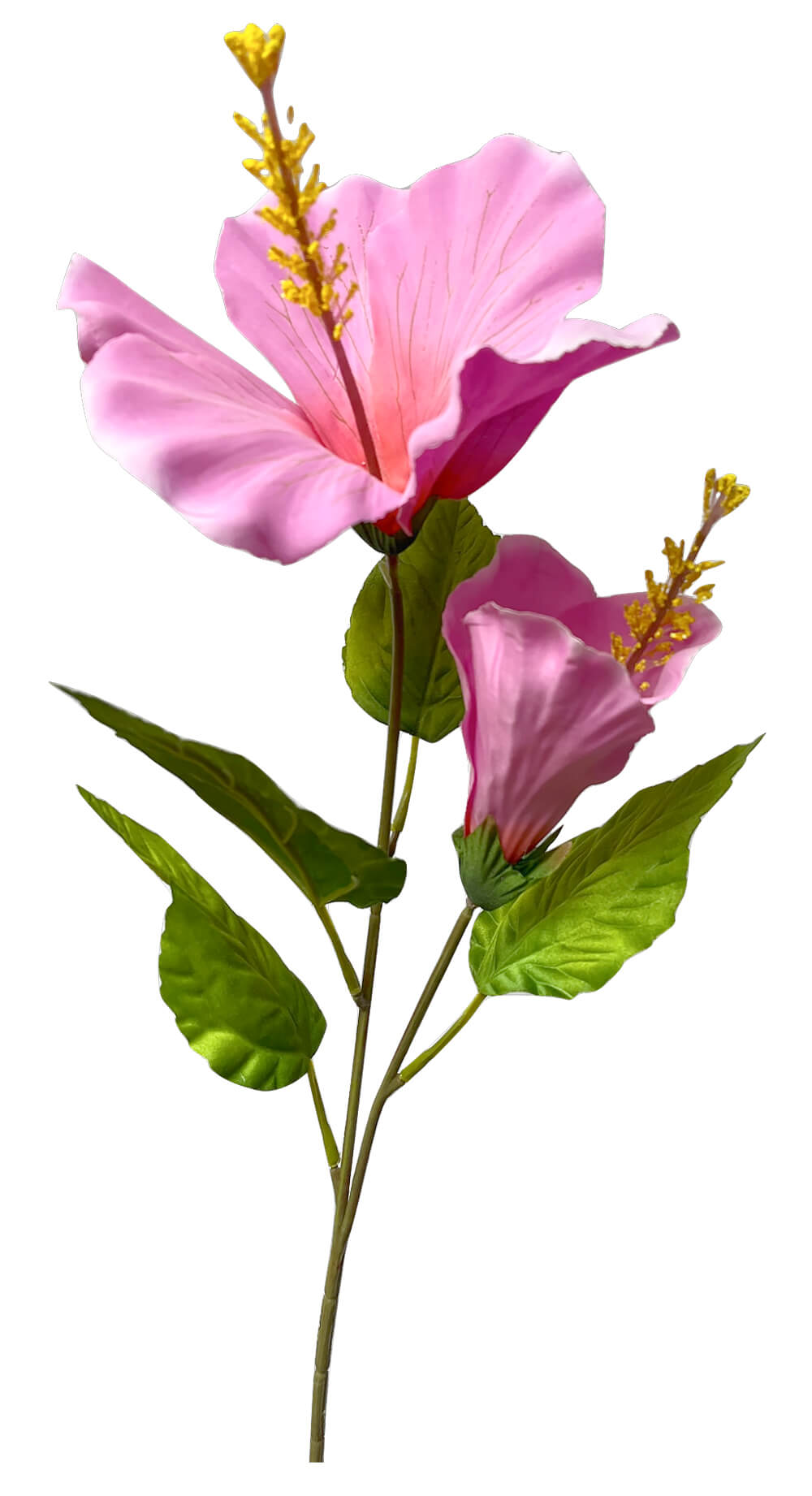 Large Pink Hibiscus Flower Stem 