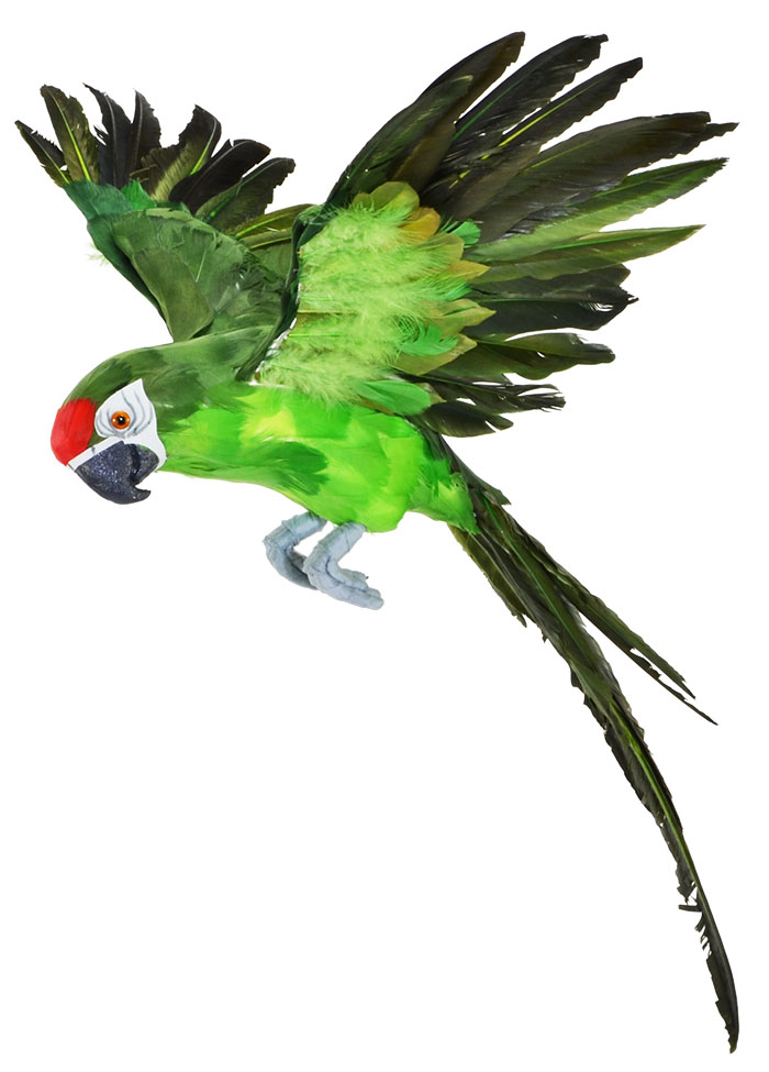 Large Green Flying Parrot 
