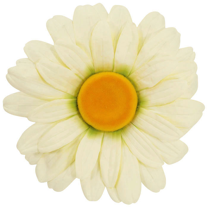 White Daisy Flower Head 40cm Giant Decorative Flowers