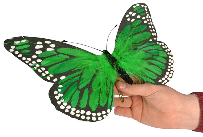 Green Feather Butterfly - 30cm 