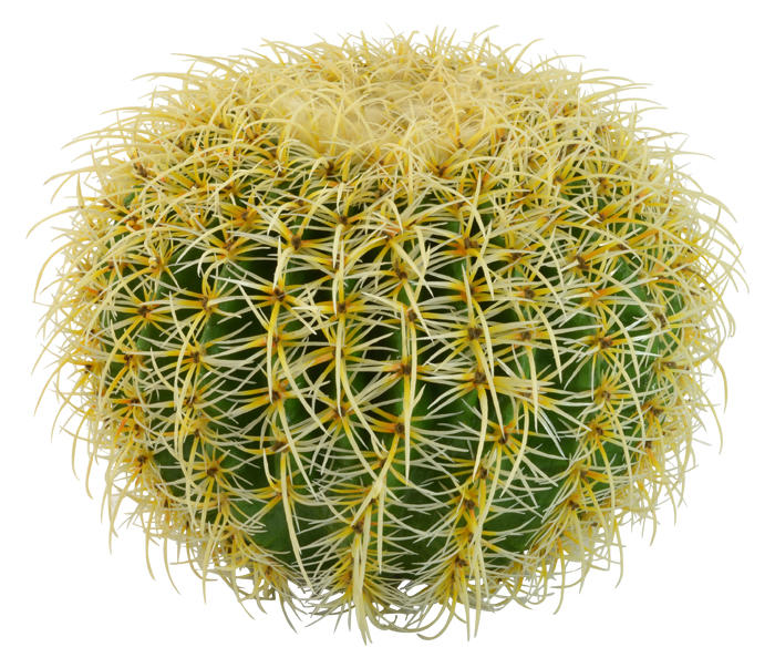 Artificial Barrel Cactus 37cm Cacti Succulents