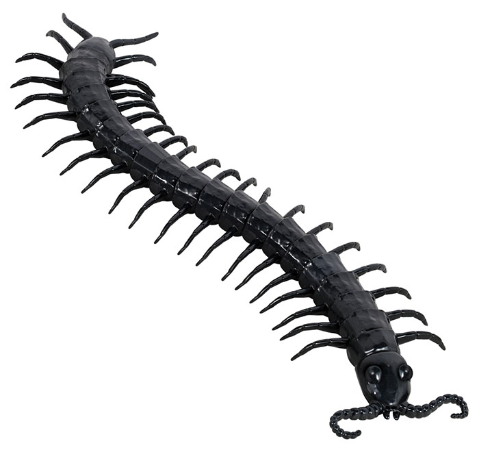 Giant Plastic Centipede Fake Insects Spiders