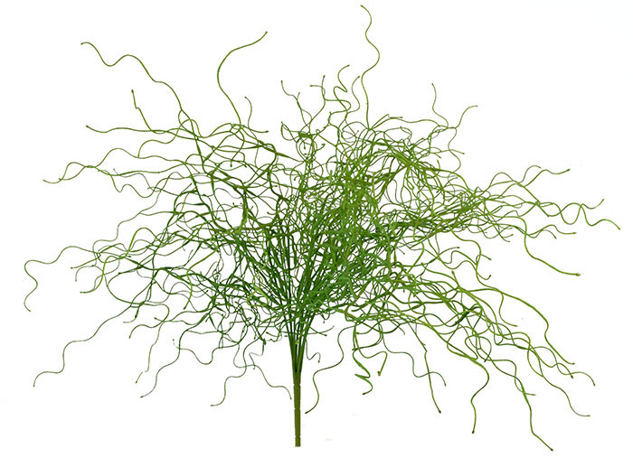 Corkscrew Rush Plant Artificial Plants