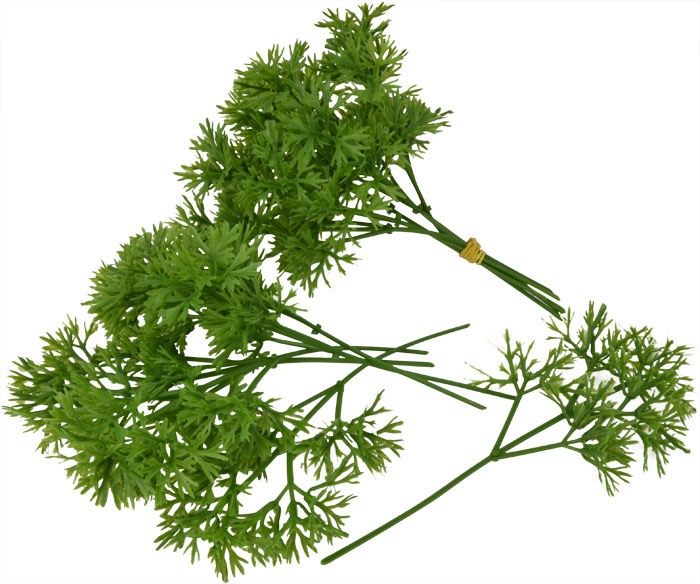 Parsley Bunch Pk2 Vegetables Salad