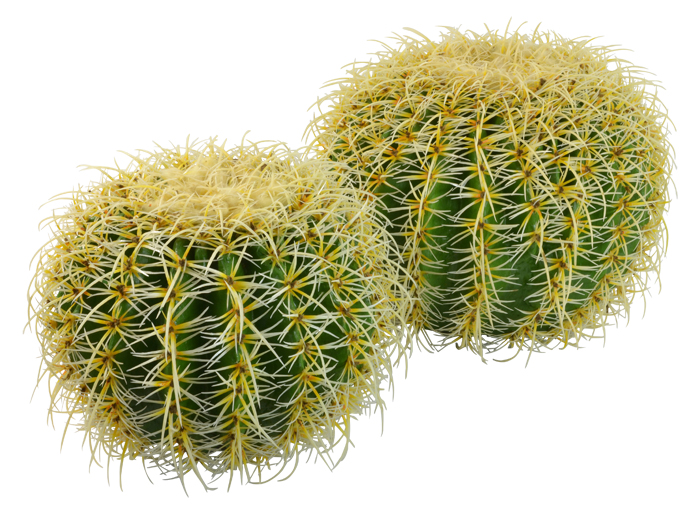 Artificial Barrel Cactus 37cm Cacti Succulents