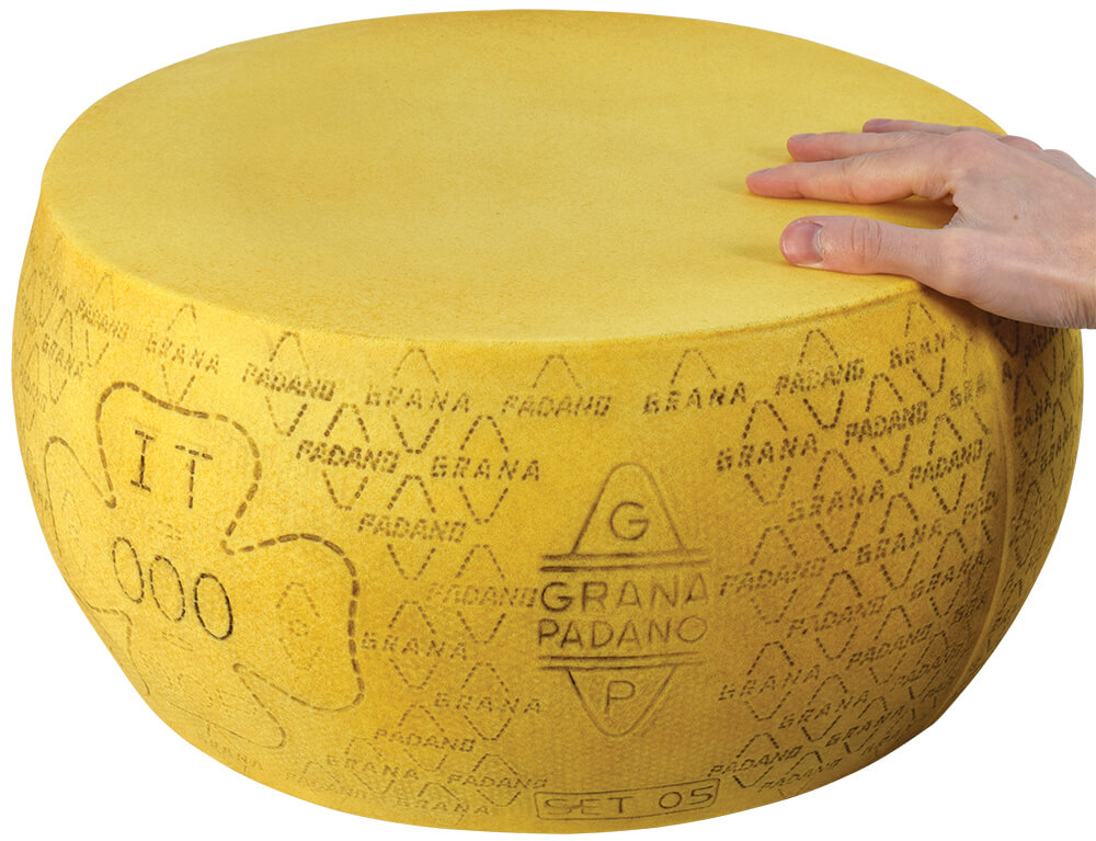 Plastic Grana Padano Cheese Wheel Cheese