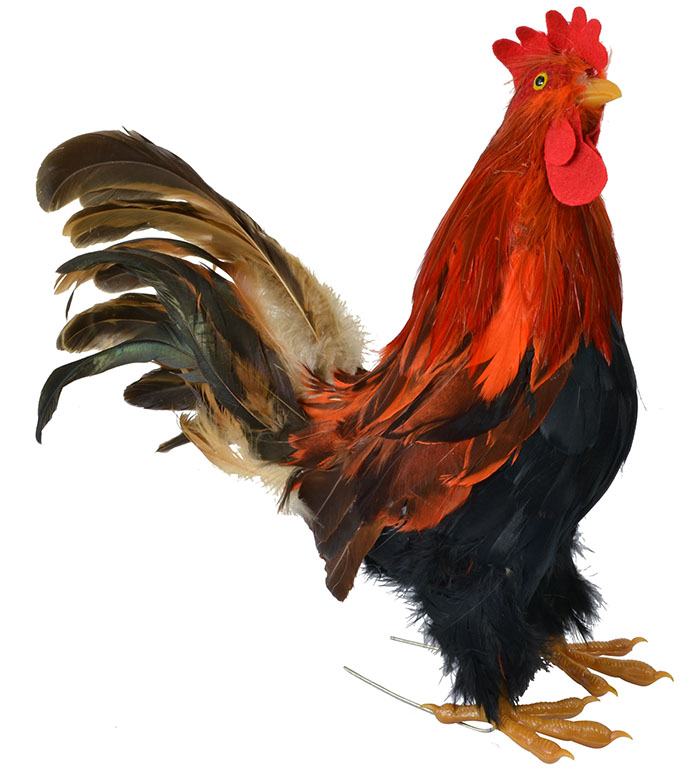 Rooster - 35cm 