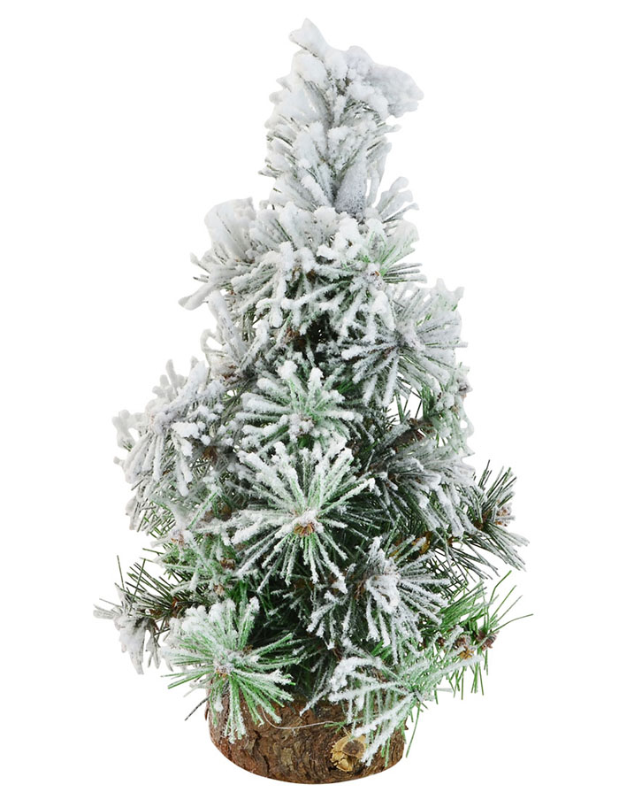 Snowy Noble Fir Tree - 20cm 