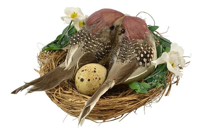 Maroon Birds in Decorated Nest 