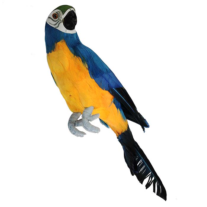 Blue Tropical Parrot - 34cm 