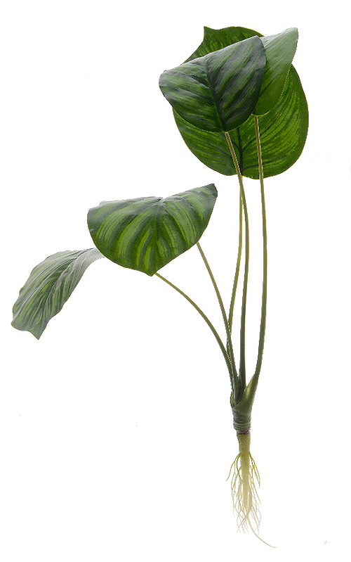 Artificial Calathea Plant with Roots Artificial Plants