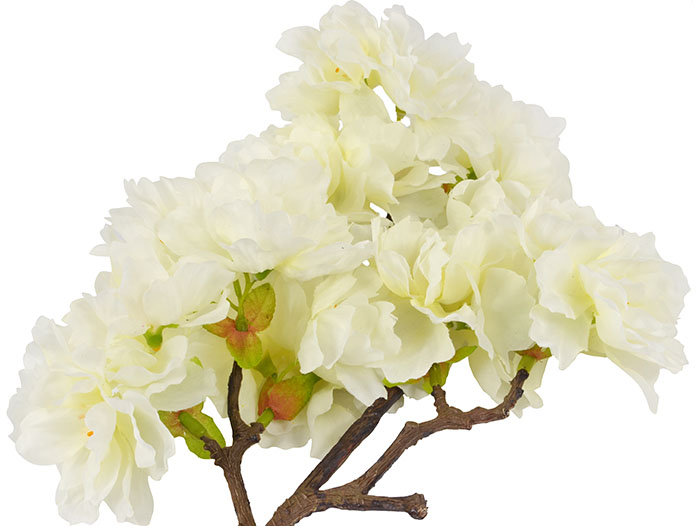 White Cherry Blossom Branch 
