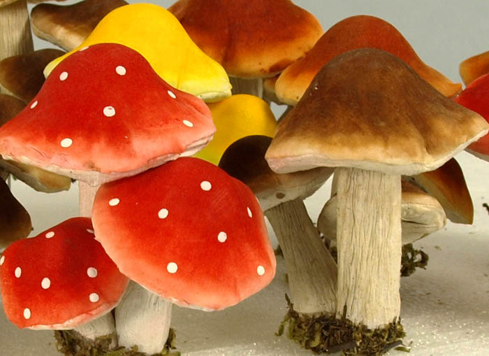 Assorted Mushrooms/Toadstools - Woodland Props