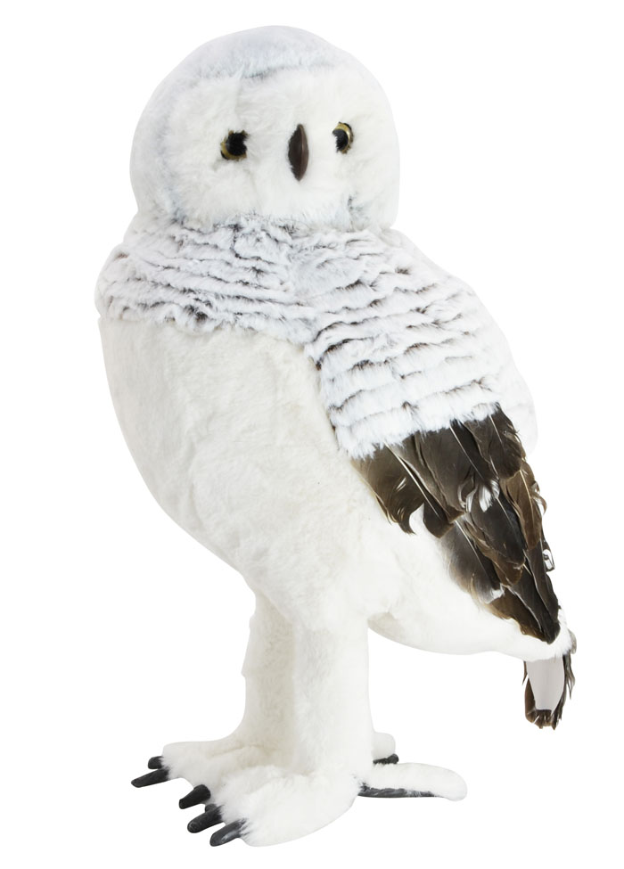 Winter Owl 