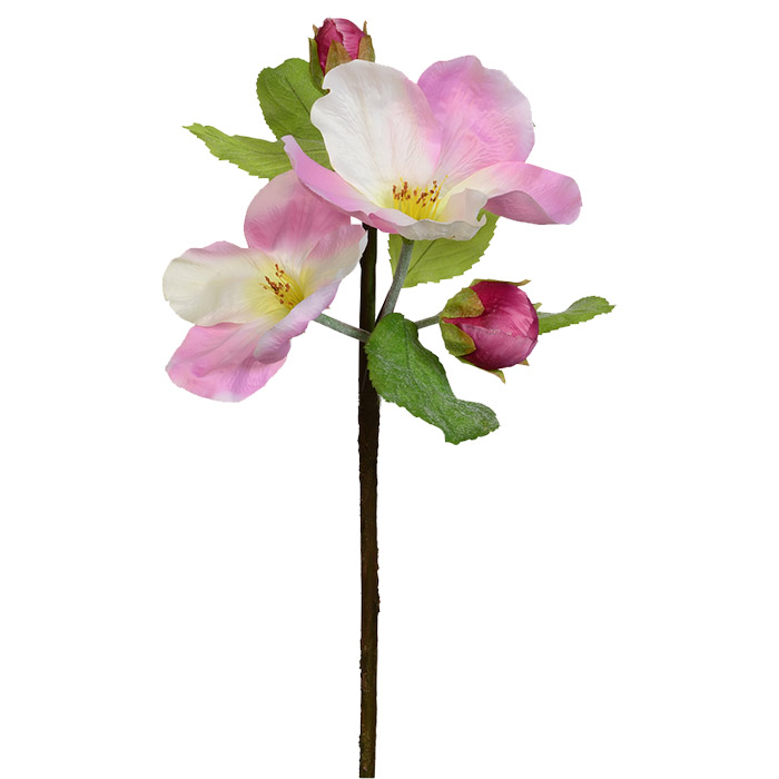 Giant Pink Apple Blossom - 120 x 60c 