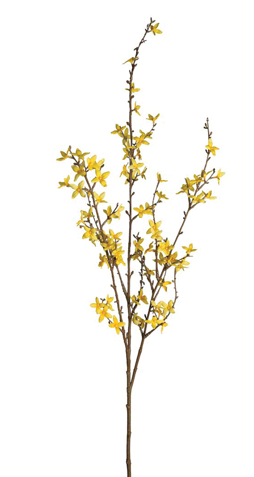 Forsythia Branch 120cm Tendrils Sprays Leaves