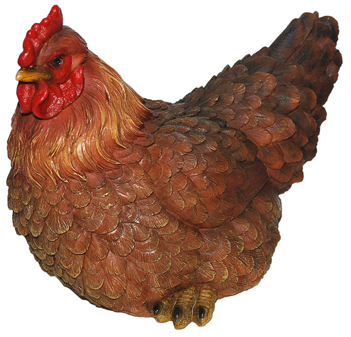 laying-summer-hen-chickens-turkey