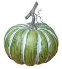 Green & White Pumpkin 